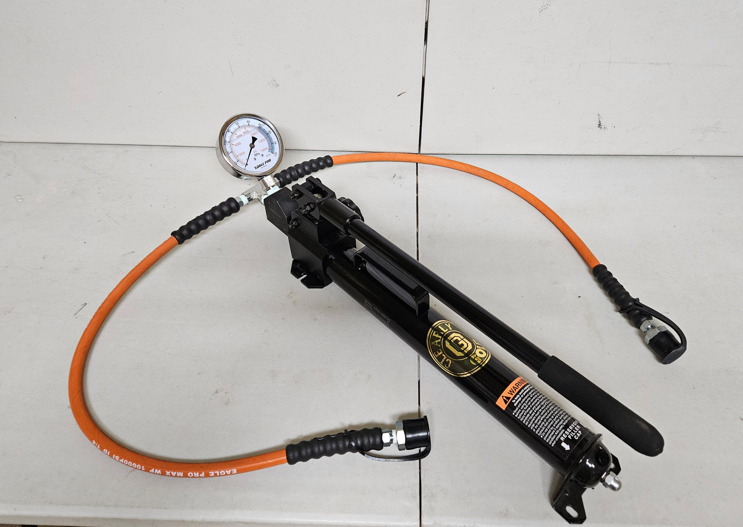 Manifold pump system