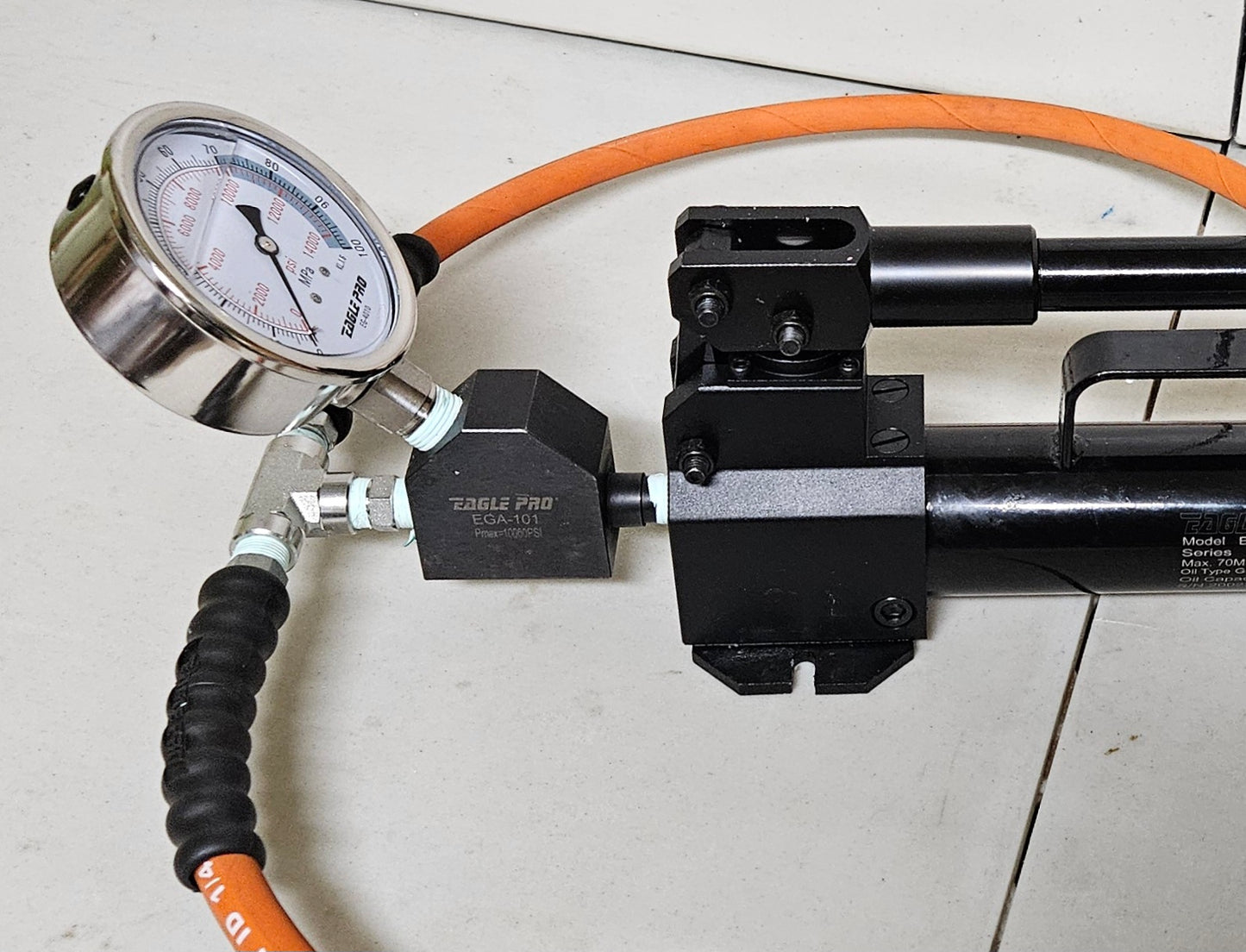 Manifold pump system